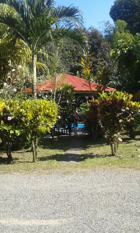 Cabinas Nirvana Ecolodge Cahuita Exterior foto