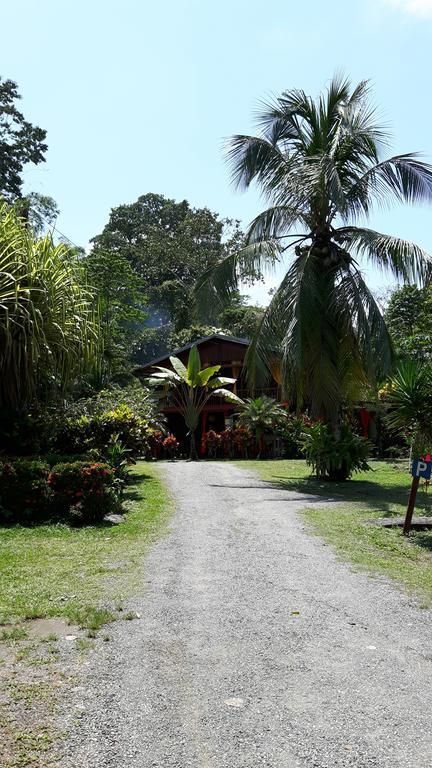 Cabinas Nirvana Ecolodge Cahuita Exterior foto
