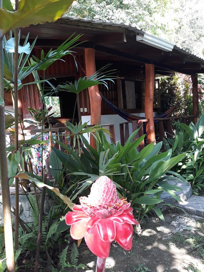 Cabinas Nirvana Ecolodge Cahuita Exterior foto