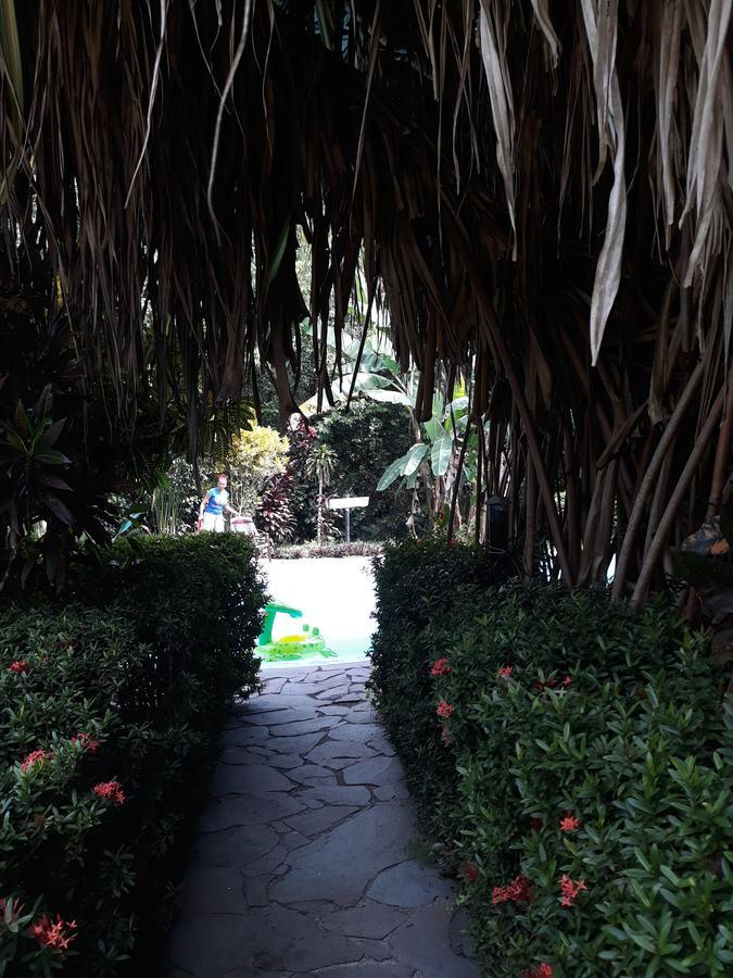 Cabinas Nirvana Ecolodge Cahuita Exterior foto