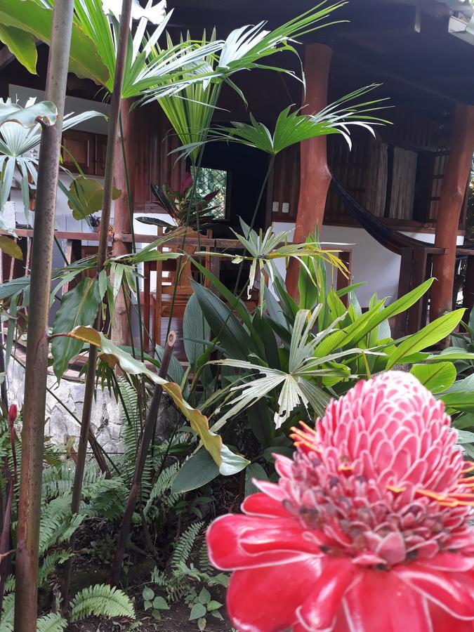 Cabinas Nirvana Ecolodge Cahuita Exterior foto