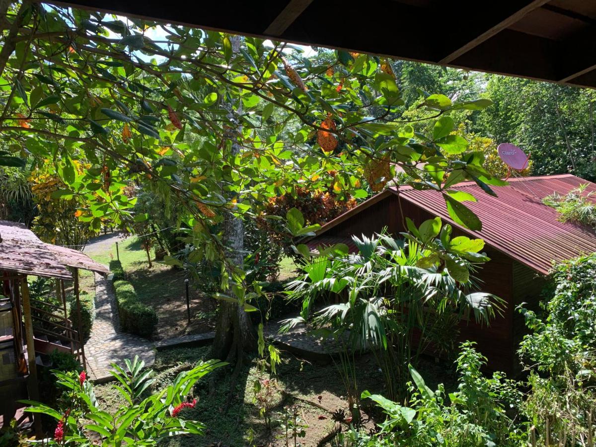 Cabinas Nirvana Ecolodge Cahuita Exterior foto